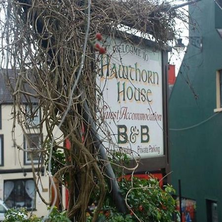 Hawthorn House Guesthouse Kenmare Kültér fotó