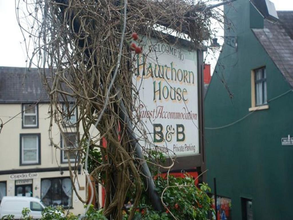 Hawthorn House Guesthouse Kenmare Kültér fotó